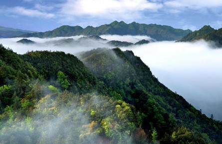 井岡山